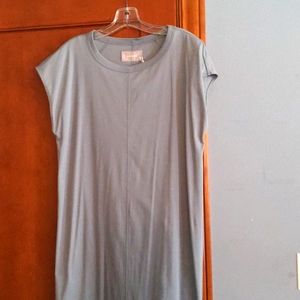 NWT Everlane Tshirt dress blue-grey